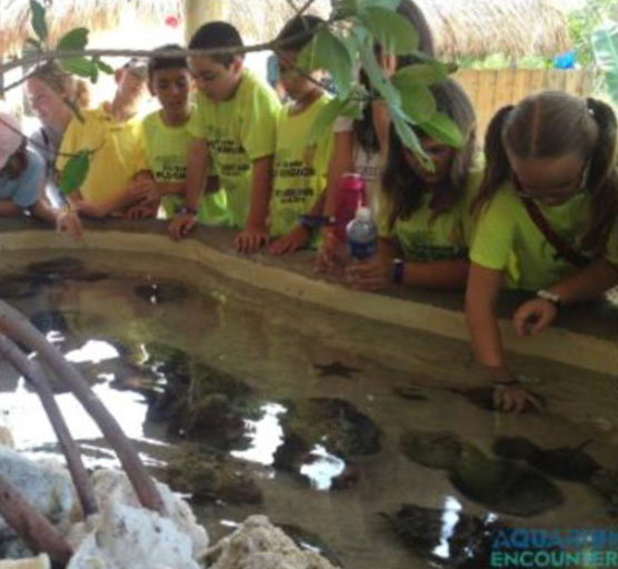 Schedule your school's next field trip at Aquarium Encounters!